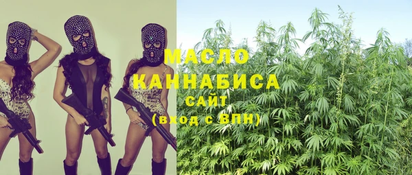 скорость Гусь-Хрустальный