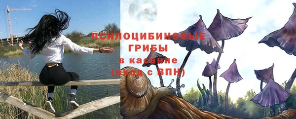 скорость Гусь-Хрустальный